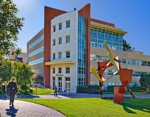 舊金山州立大學(州立)<br><small>San Francisco State University</small>