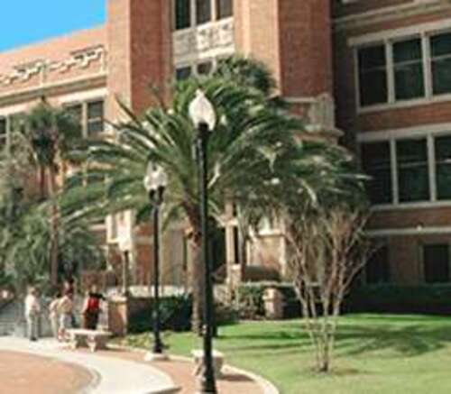 佛羅里達州立大學(州立)<br><small>Florida State University</small>